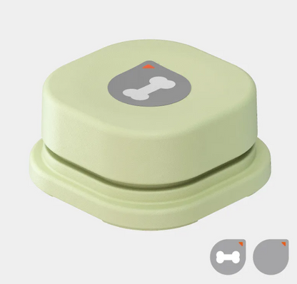 Interactive Pet Toy