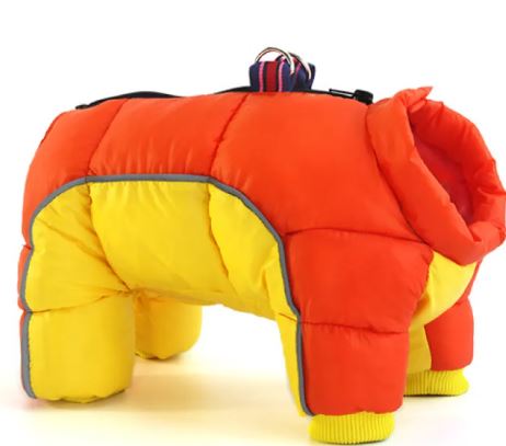 Dog Winter Jacket