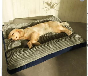 Washable Pet Bed