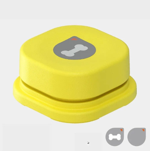 Interactive Pet Toy