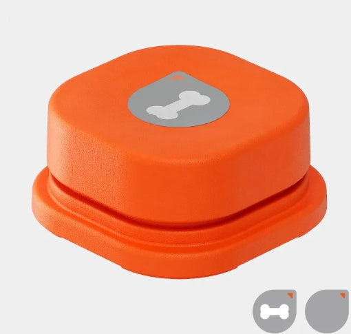 Interactive Pet Toy