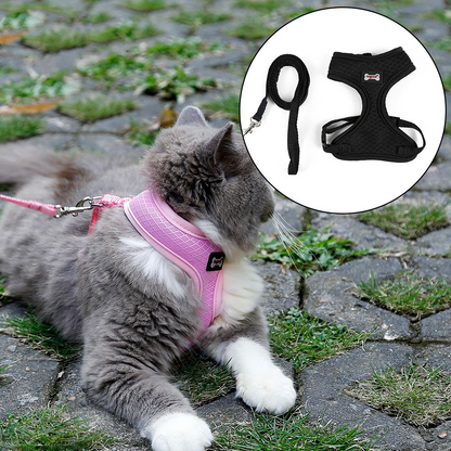 Anti-Slip Cat Harness