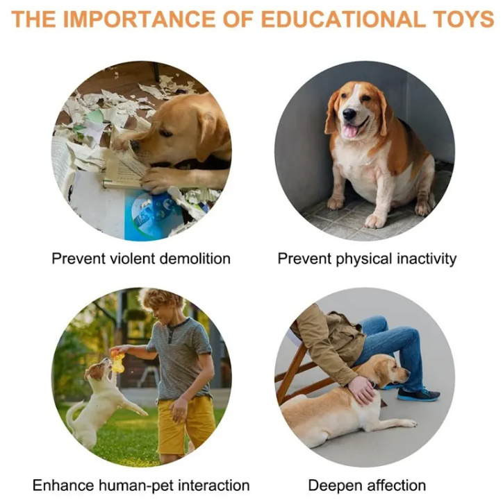 Interactive Pet Toy