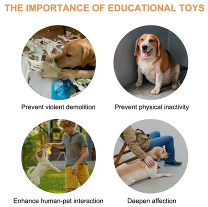 Interactive Pet Toy