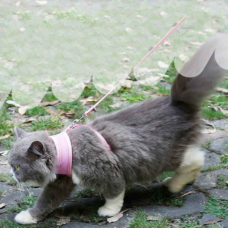 Anti-Slip Cat Harness