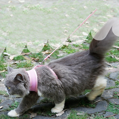 Anti-Slip Cat Harness