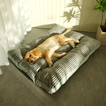 Washable Pet Bed
