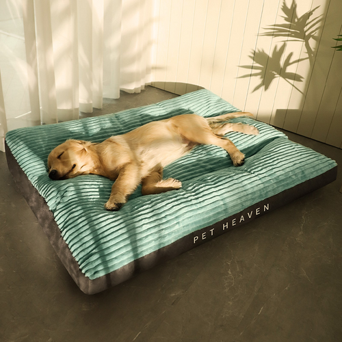 Beds & Comfort