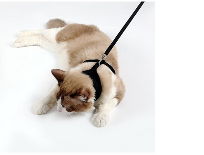 Anti-Slip Cat Harness